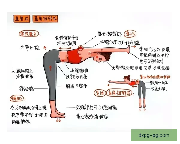 全面解读瑜伽排名及其影响因素