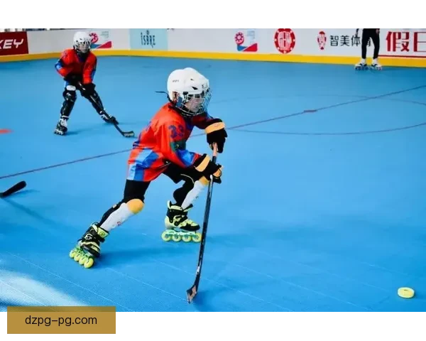 冰球联赛最新积分榜公布情况 冰球联赛最新积分榜公布情况