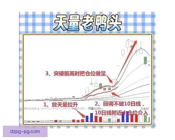探索BMX盘口分析的最新趋势及技巧