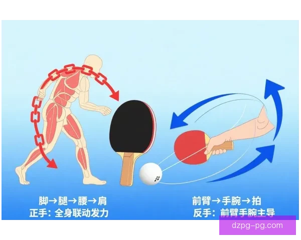 提高乒乓球技巧的有效方法及技巧分享
