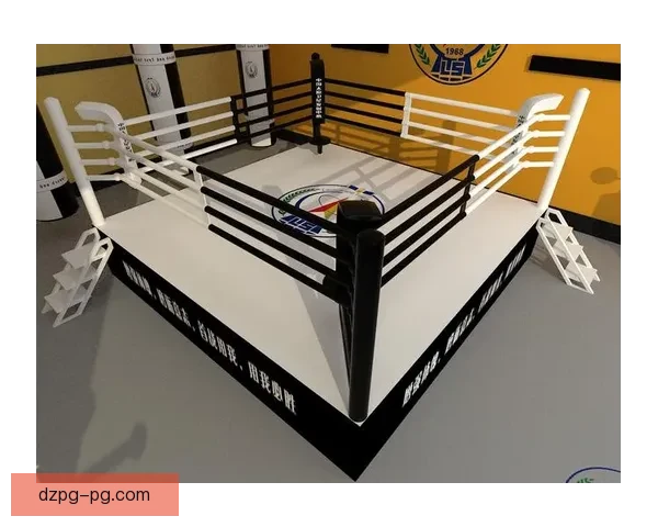 擂台争霸：终极拳击邀请赛火爆来袭