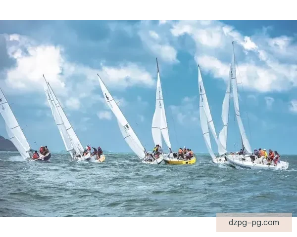 帆船冠军：征服波涛，勇闯风浪，驶向荣耀